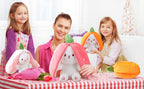 Soft Stuffed Bunny Reversible Zipper bag